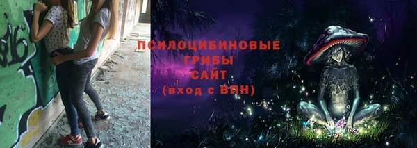 стафф Чекалин