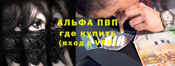 стафф Чекалин