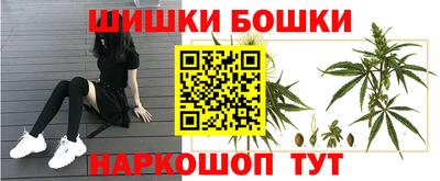 прущие крисы Заводоуковск