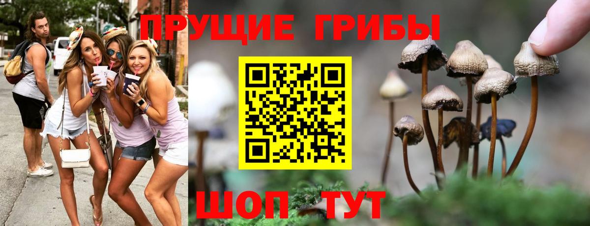 Псилоцибиновые грибы MAGIC MUSHROOMS Нижневартовск