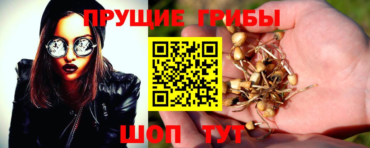 Галлюциногенные грибы Magic Shrooms Нижневартовск
